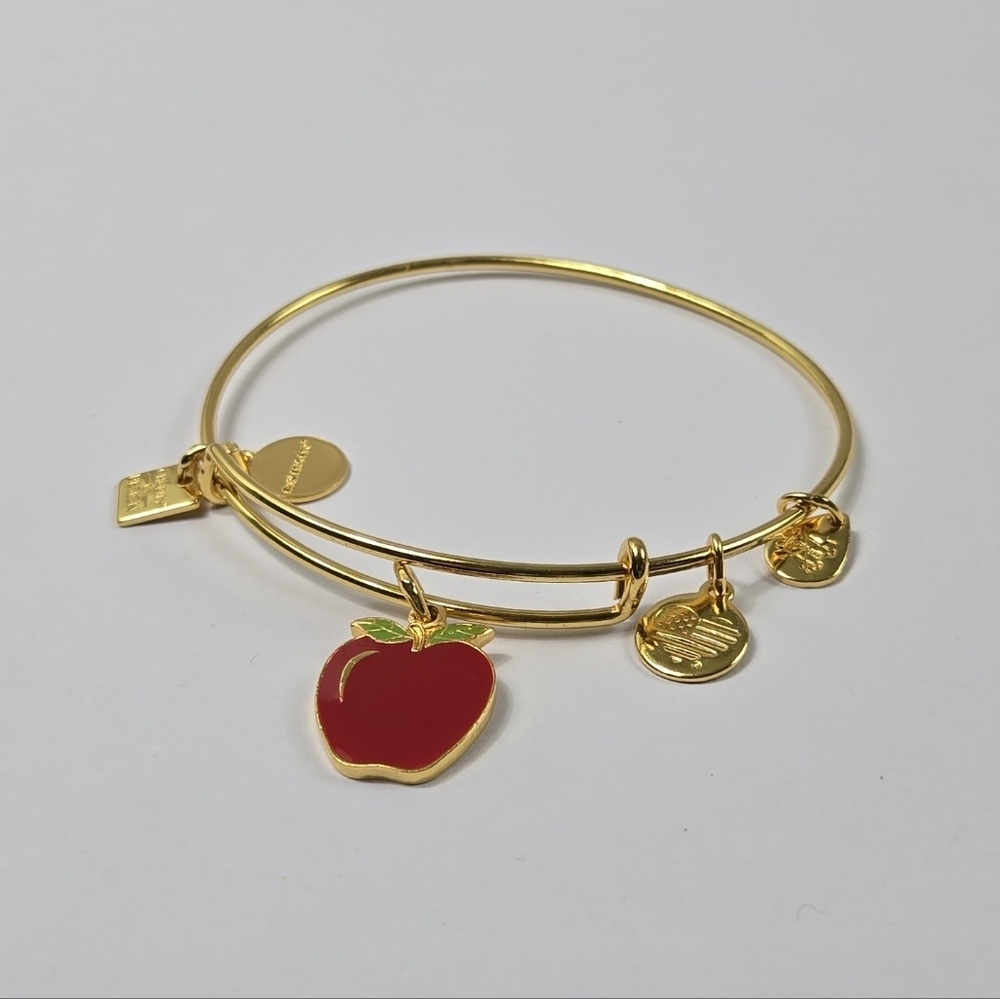 Alex And Ani Gold Tone Red Apple 2017  Charm Bracelet - Picture 12 of 15